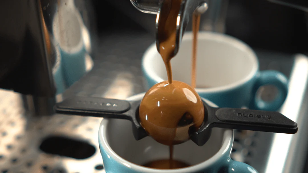 Elevate Your Morning Ritual